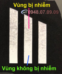 Nhãn nhiễm màu vải Nhãn nhiễm màu vải